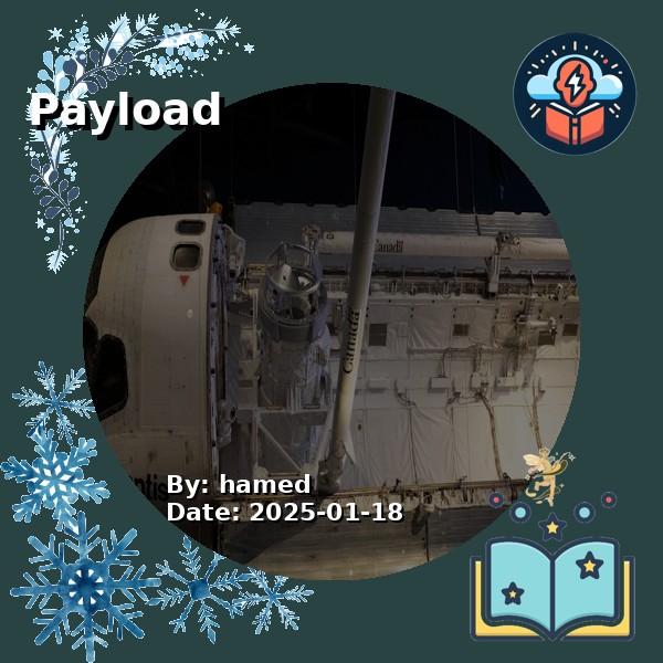 Payload